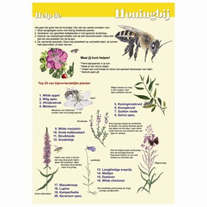 Poster Help de Honingbij - gele achtergrond, geplastificeerd