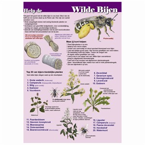 Poster Help de wilde bijen - paarse achtergrond, geplastificeerd